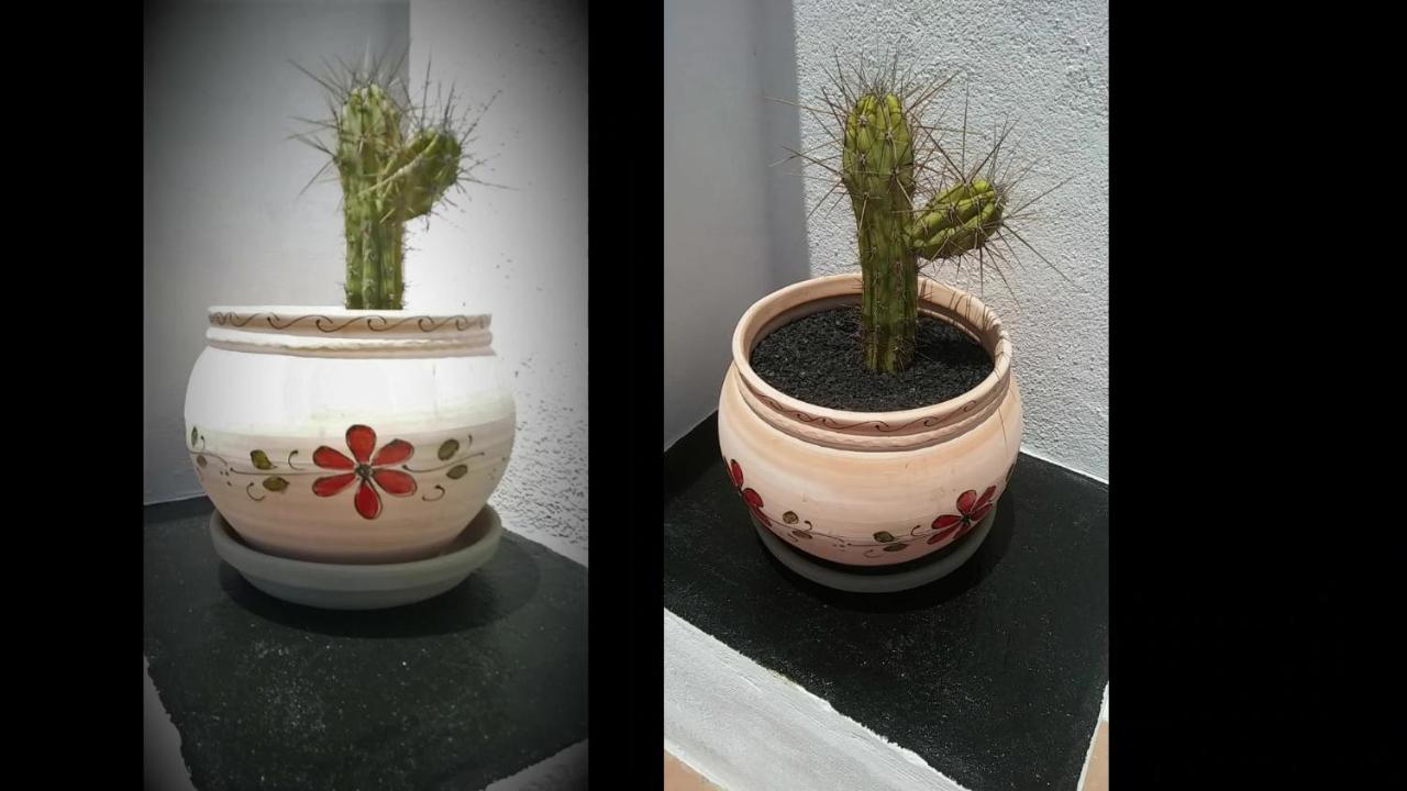 Tías Verde Casa Eden מראה חיצוני תמונה